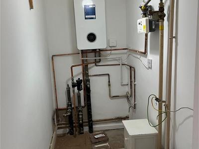 Picture 4